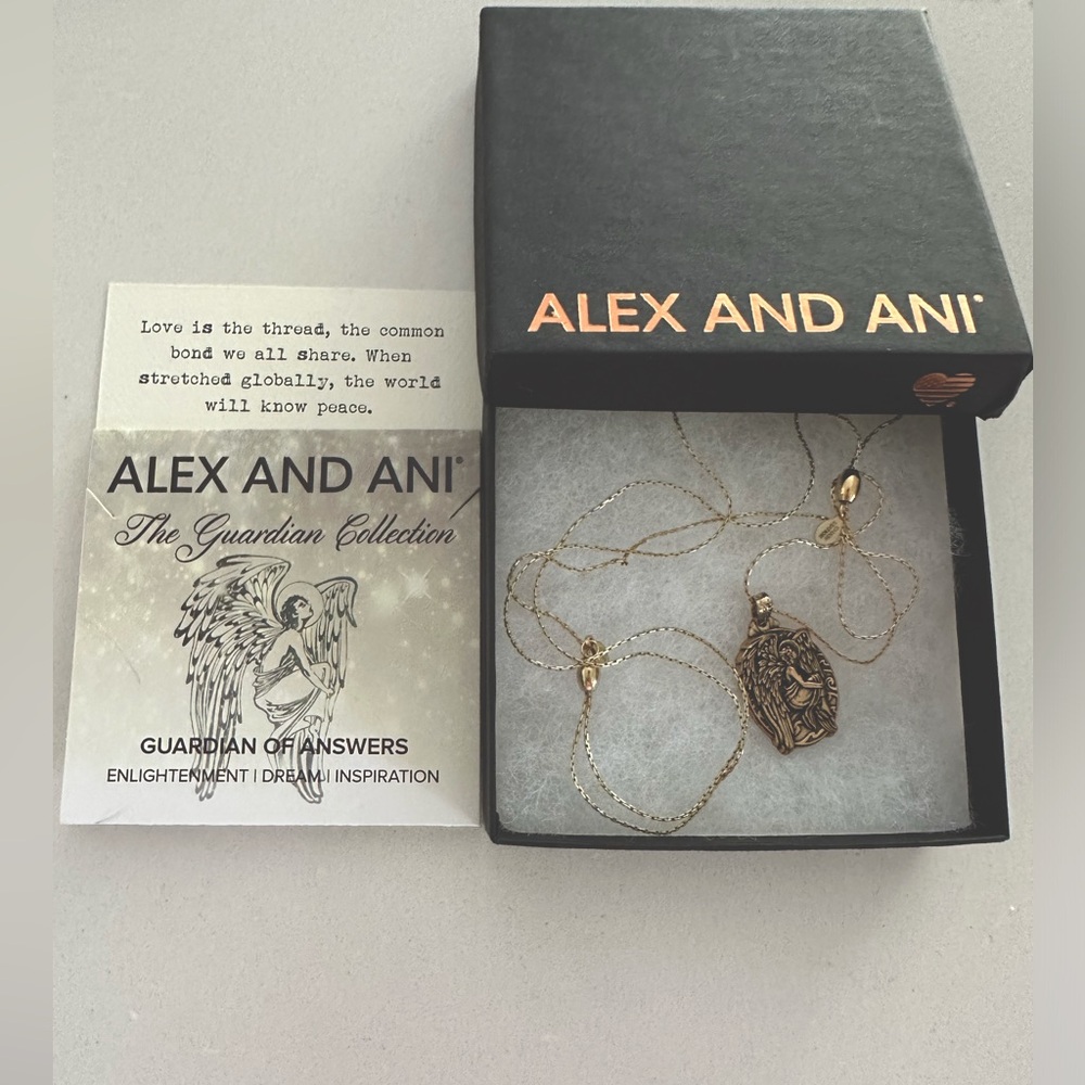 Gently used Alex and Ani The Guardian Collection “Guardian of Answers” necklace